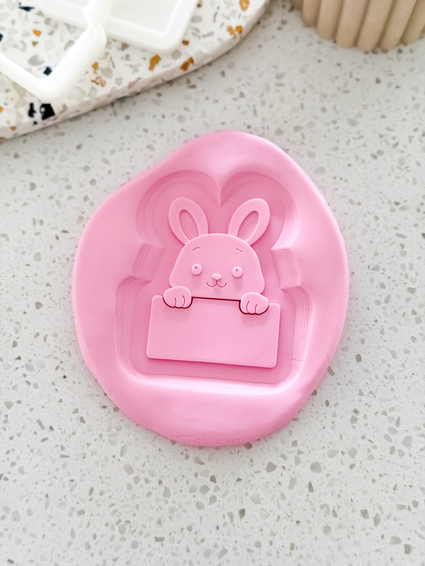 Easter Bunny Plaque Stamp & Cutter - Perfect for Fondant & Sugar Cookies