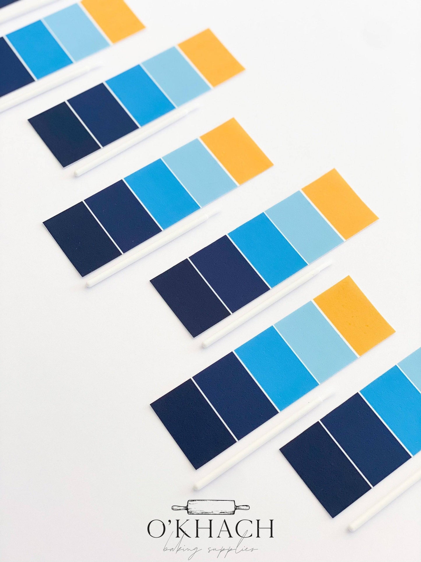 BLUEY Edible Paint Palettes – PYO Cookie Decorating Kits