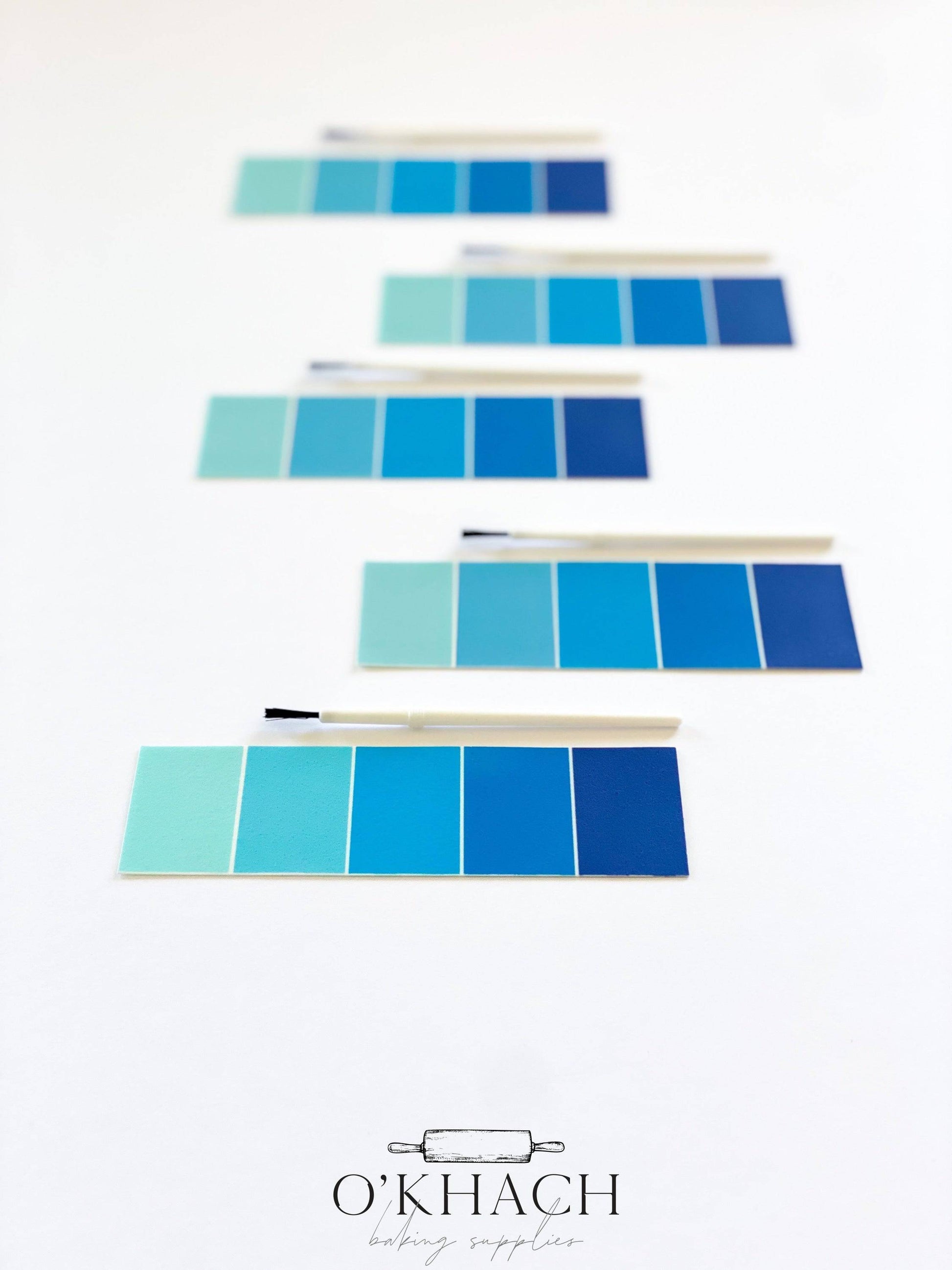 BLUES Paint Your Own (PYO) Edible Paint Palettes - Paint Brush included - O'Khach Baking Supplies